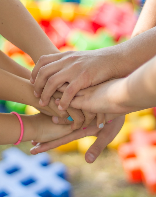 Diseño sin título - 2024-11-29T214132.713